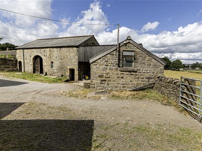 Picture 19